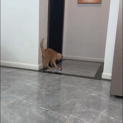 Swiftail -smart interactive cat toy